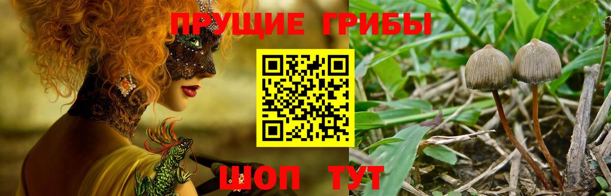 Галлюциногенные грибы мухоморы  купить закладку  Елизово  Вход с VPN 