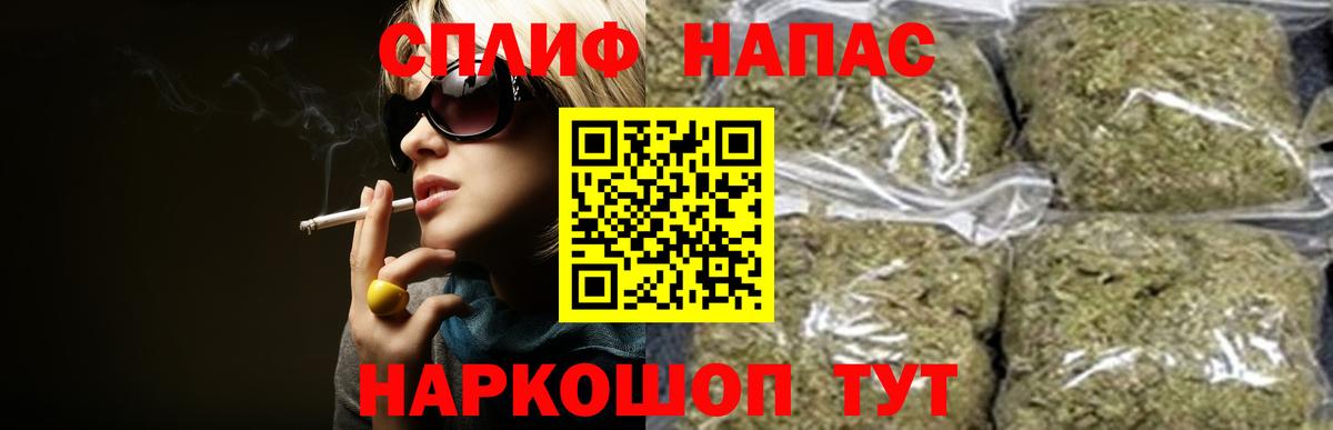 Каннабис сатива Елизово